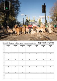 sept