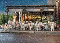 xmas card